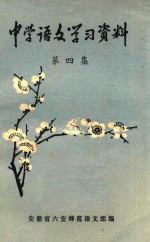 中学语文学习资料 第4集
