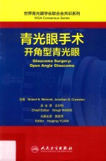 青光眼手术 开角型青光眼