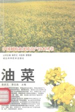 油菜