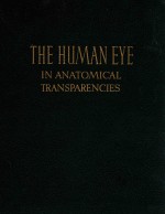 THE HUMAN EYE IN ANATOMICAL TRANSPARENCIES