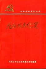 龙胜游击纪实