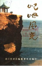 屺(山母)风光