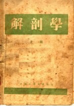 解剖学 上