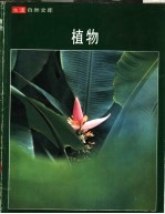 植物