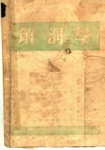 解剖学 下