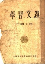 学习文选 中国小说