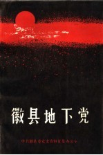 徽县地下党
