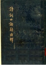 诗词曲语辞汇释 上