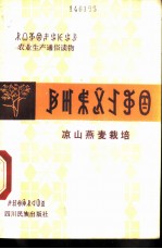 凉山燕麦栽培 彝汉文对照本