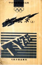 中华武术 上