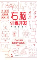 右脑训练开发
