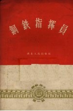 钢铁指挥员