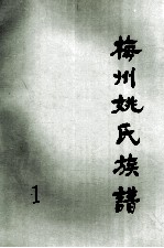 梅州姚氏族谱 第1册
