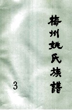 梅州姚氏族谱 第3册