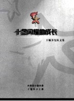 十星闪耀助成长-十堰少先队文集