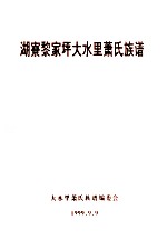 湖寮黎家坪大水里萧氏族谱