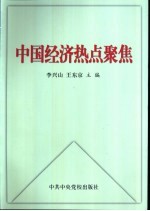 中国经济热点聚焦