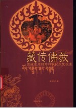 藏传佛教 雪域高原独特神秘的文化现象