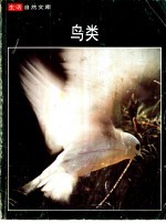 鸟类