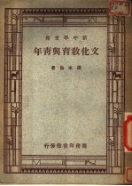 文化教育与青年