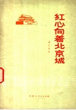 红心向着北京城 器乐曲选