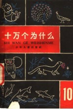 十万个为什么 10