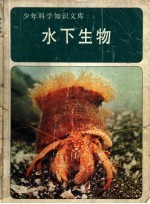 水下生物