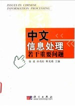 中文信息处理若干重要问题