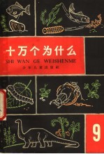 十万个为什么 9