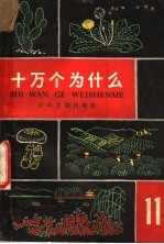 十万个为什么 11