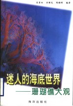 迷人的海底世界 珊瑚礁大观