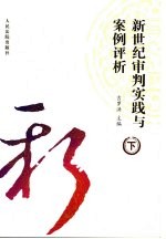 新世纪审判实践与案例评析 下