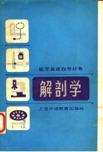 解剖学 英汉对照