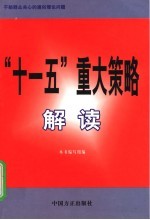 “十一五”重大策略解读