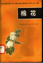 棉花