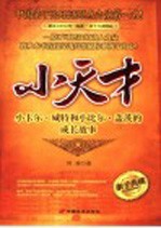 小天才 小卡尔·威特和小比尔·盖茨的成长故事