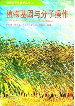 植物基因与分子操作
