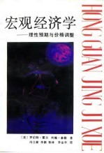 宏观经济学 理性预期与价格调整