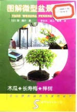 图解微型盆景栽培 5 木瓜·长寿梅·榉树