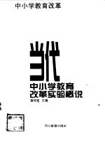当代中小学教育改革实验概说