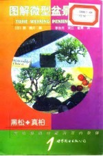 图解微型盆景栽培 1 黑松·真柏
