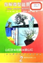 图解微型盆景栽培 2 山红叶·杜鹃·映山红