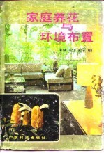家庭养花与环境布置
