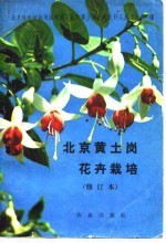 北京黄土岗花卉栽培