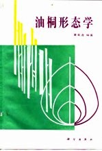 油桐形态学