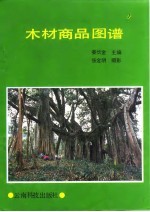 木材商品图谱