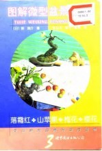 图解微型盆景栽培 3 落霜红·山苹果·梅花·樱花