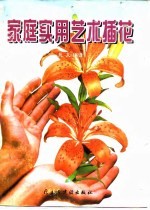 家庭实用艺术插花