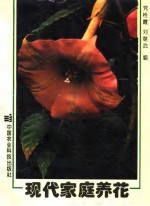 现代家庭养花