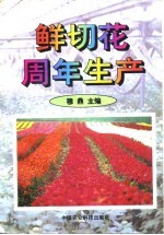 鲜切花周年生产